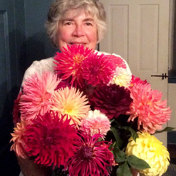 Sue Buntin — Dahlias