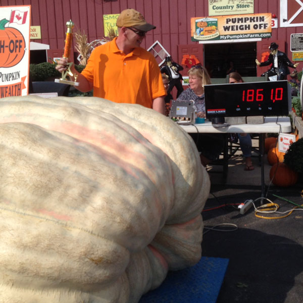 Joe Adkins — Pumpkins