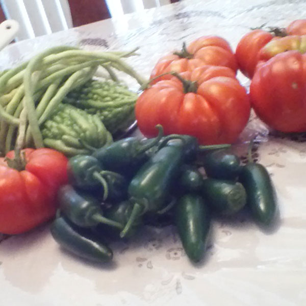 Maria Henderson — Fruit and vegetables